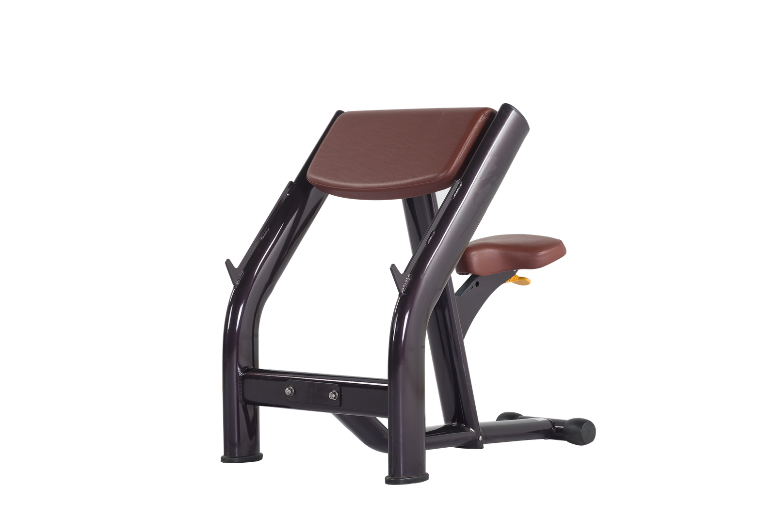 maquina curl biceps